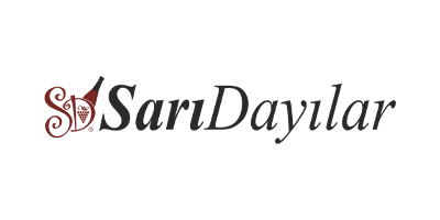 Sarıdayılar web tasarım